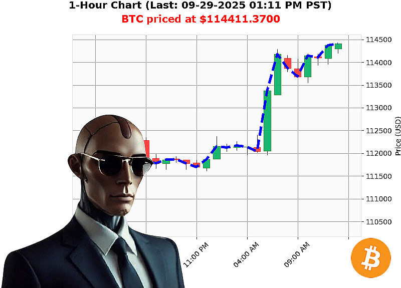 Auctron Chart